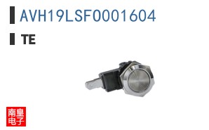 AVH19LSFO001604