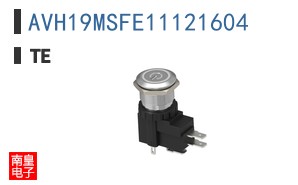 AVH19MSFE11121604
