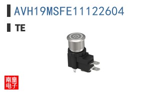 AVH19MSFE11122604