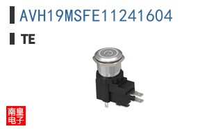 AVH19MSFE11241604