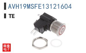 AVH19MSFE13121604