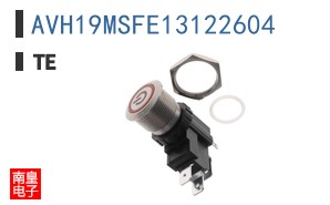 AVH19MSFE13122604