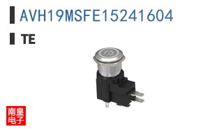 AVH19MSFE15241604