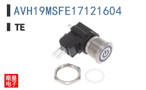 AVH19MSFE17121604