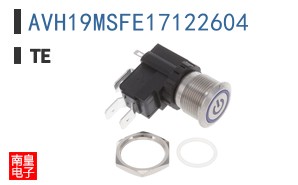 AVH19MSFE17122604