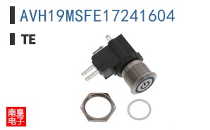 AVH19MSFE17241604