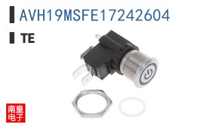 AVH19MSFE17242604