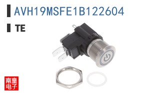 AVH19MSFE1B122604