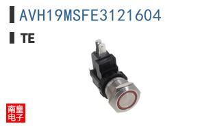 AVH19MSFE3121604