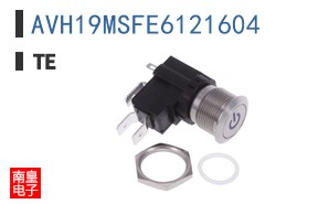 AVH19MSFE6121604