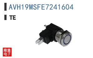 AVH19MSFE7241604