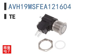 AVH19MSFEA121604