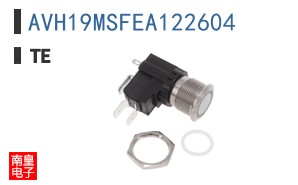 AVH19MSFEA122604