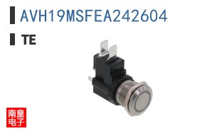 AVH19MSFEA242604