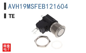 AVH19MSFEB121604