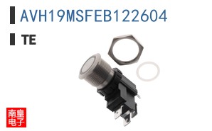 AVH19MSFEB122604