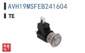 AVH19MSFEB241604