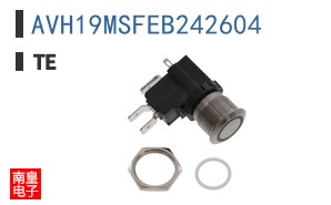 AVH19MSFEB242604