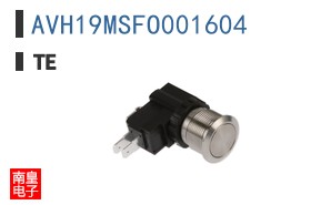 AVH19MSFO001604