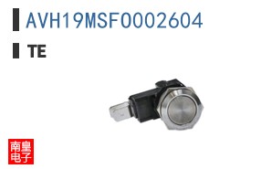 AVH19MSFO002604
