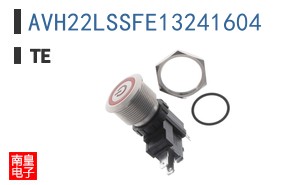 AVH22LSSFE13241604