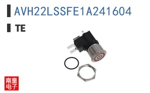 AVH22LSSFE1A241604