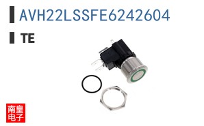 AVH22LSSFE6242604