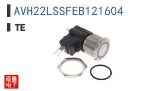 AVH22LSSFEB121604