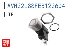 AVH22LSSFEB122604