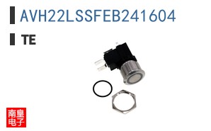 AVH22LSSFEB241604