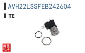 AVH22LSSFEB242604