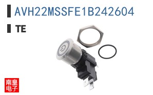 AVH22MSSFE1B242604