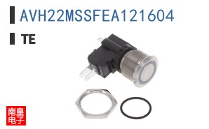 AVH22MSSFEA121604