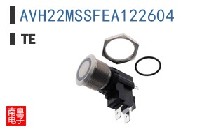 AVH22MSSFEA122604