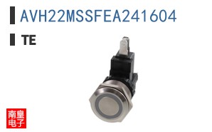 AVH22MSSFEA241604