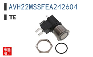 AVH22MSSFEA242604