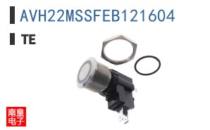 AVH22MSSFEB121604