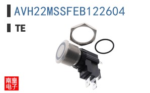 AVH22MSSFEB122604