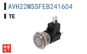 AVH22MSSFEB241604