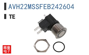AVH22MSSFEB242604