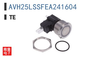 AVH25LSSFEA241604
