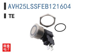 AVH25LSSFEB121604