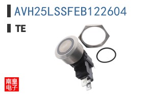 AVH25LSSFEB122604