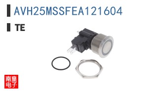 AVH25MSSFEA121604