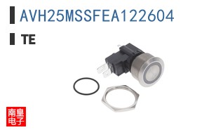 AVH25MSSFEA122604