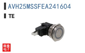 AVH25MSSFEA241604