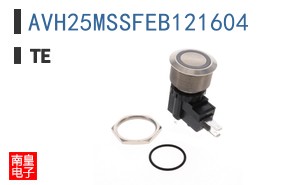 AVH25MSSFEB121604
