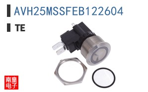 AVH25MSSFEB122604