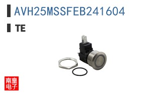 AVH25MSSFEB241604