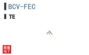 BCV-FEC